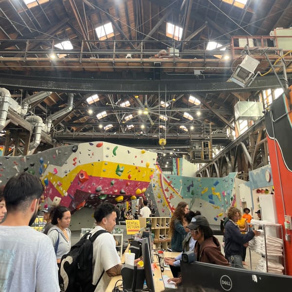 A bouldering gym: a wall of coloured holds under a wooden roof.